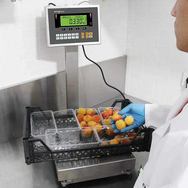 Paketleme Ve Porsiyon Terazisi