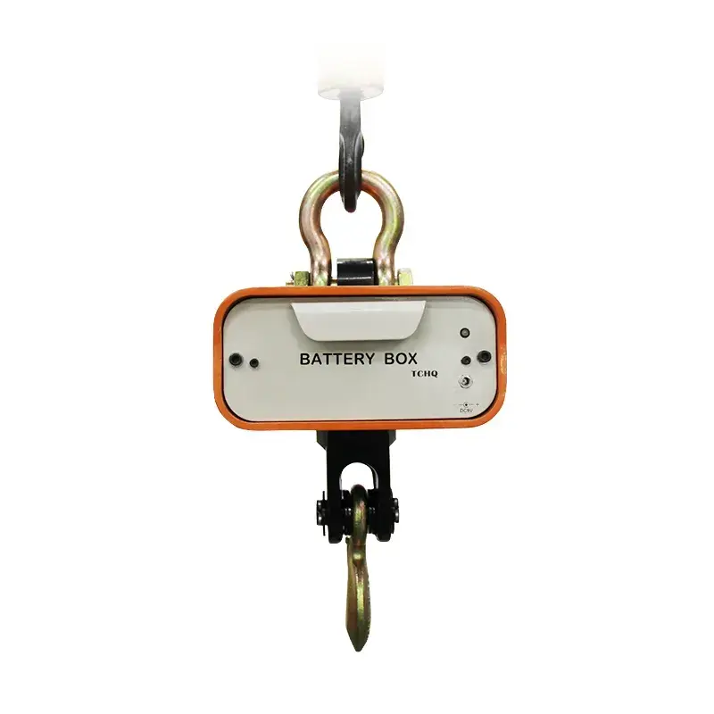 BWI-CSA Vinç Kantarı