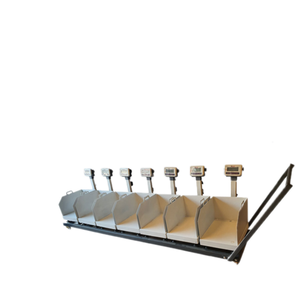 7'li Hisse Terazisi ve Kurban Pay Kantarı